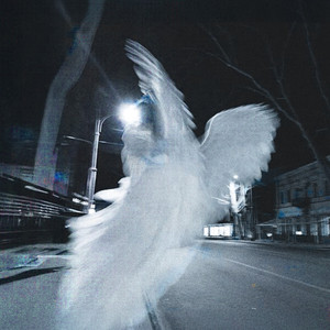 颉颉和猫付费内容原版
