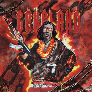 颉颉和猫付费内容原版
